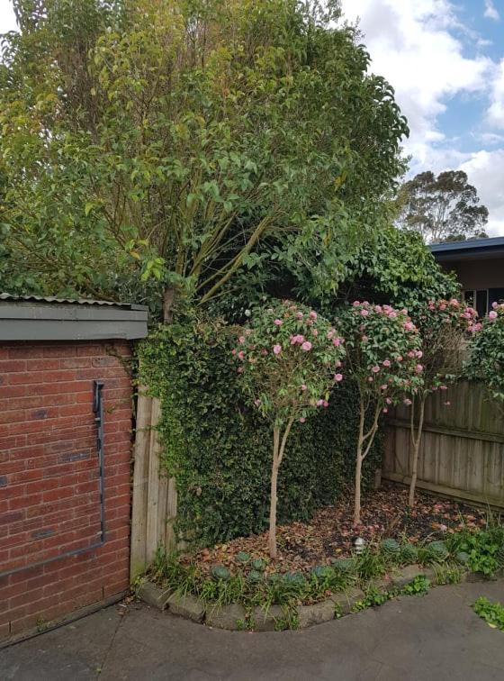 Creek Cottage Bed And Breakfast Traralgon Exterior foto